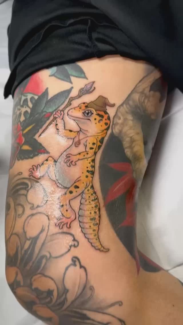Dragon, 도마뱀