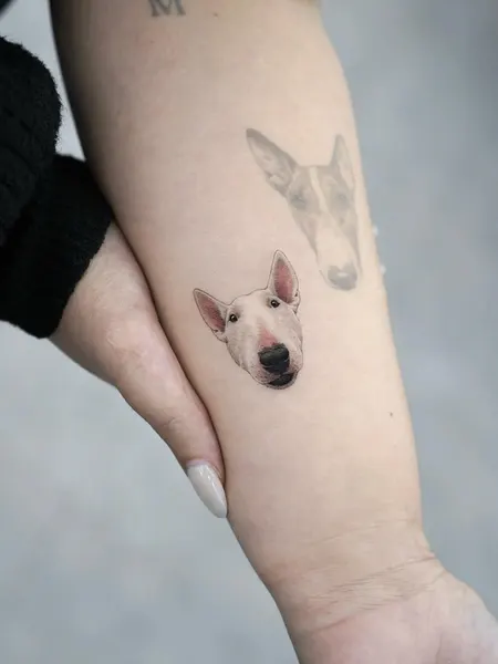 돼지, 함사, 강아지, 반려동물, Animal, 텐구