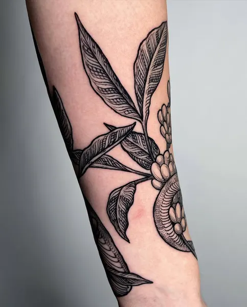 Dragon, Snake