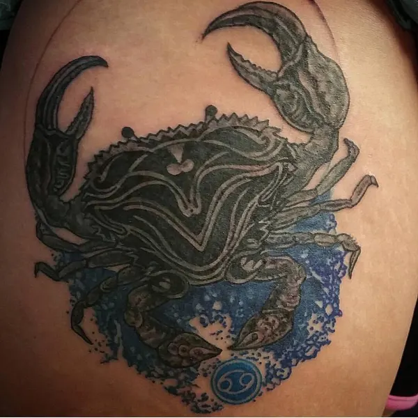 드래곤 라이더, 중국 용, Dragon