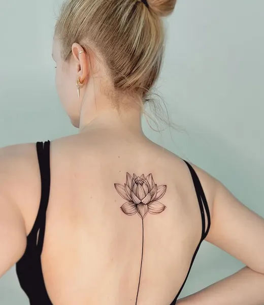 Flower, 연꽃