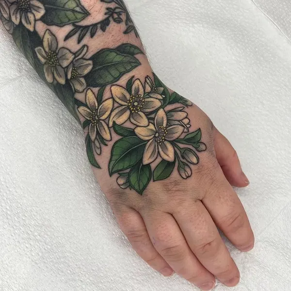 Flower, Rose