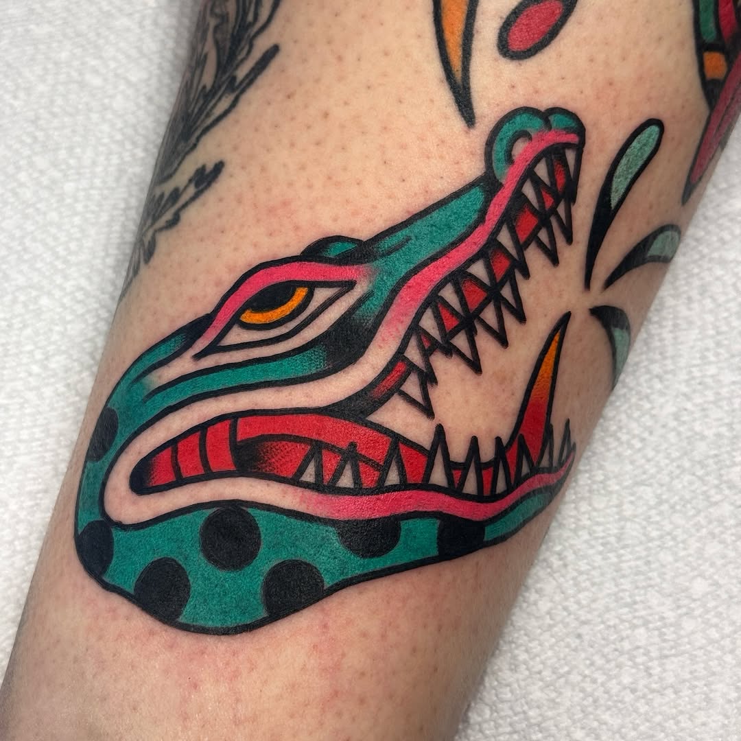 Dragon, 악어