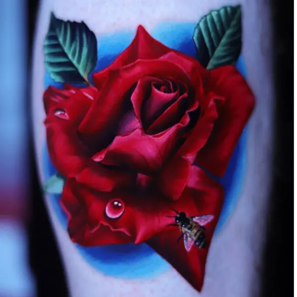 Flower, Rose