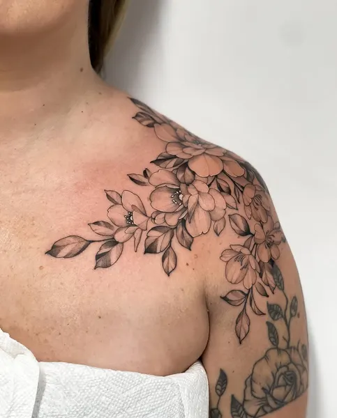 Flower, Rose, Nature