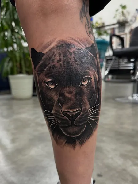Animal, 팬서, 재규어, 사자자리