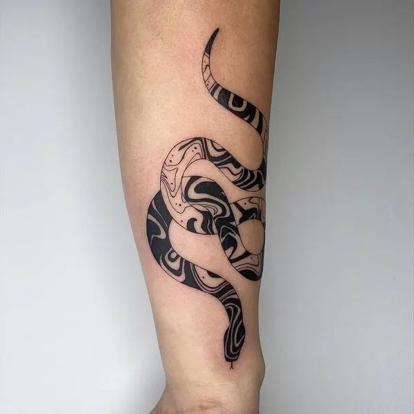 Dragon, Snake