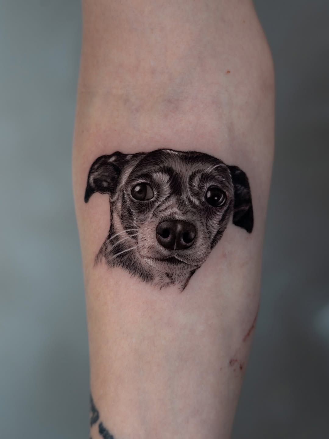 lewis.tattoo