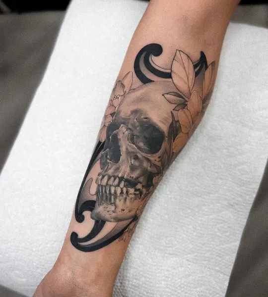 뼈, Skull