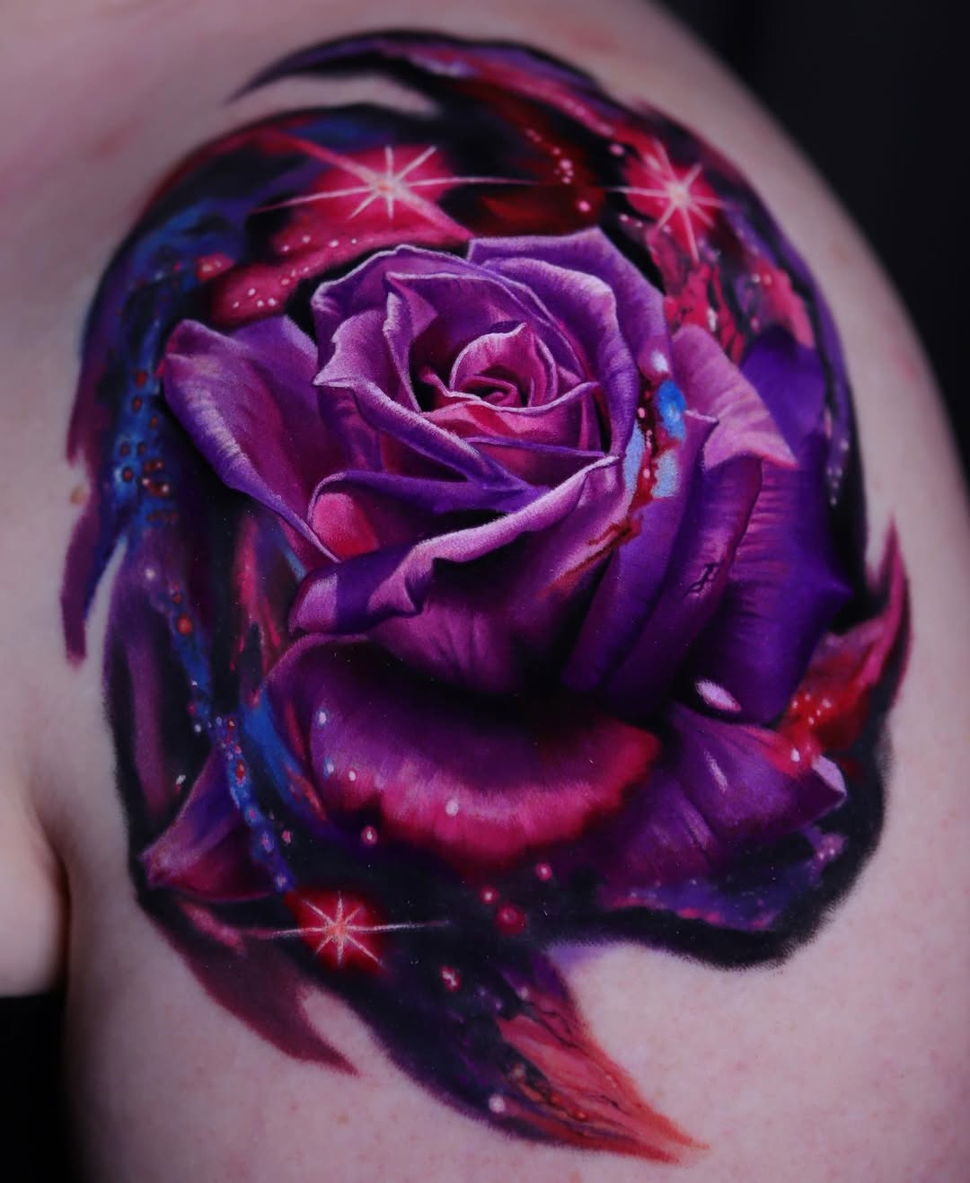 Flower, Rose, Nature