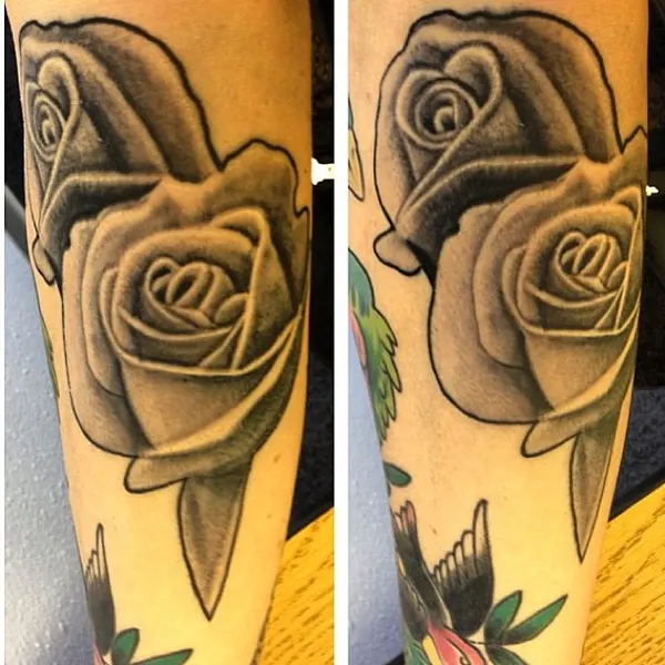 Flower, Rose