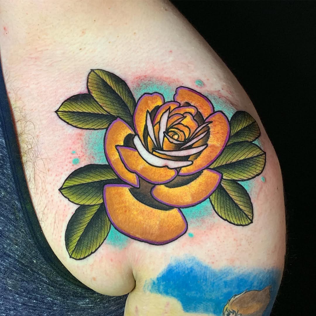Flower, Rose, Nature