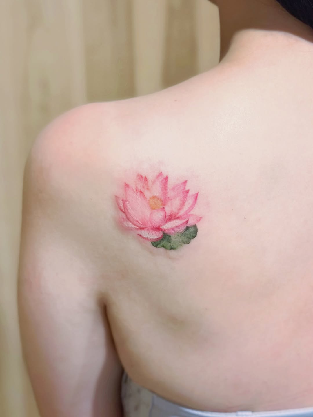 Flower, 모란, 벚꽃, 연꽃, 매화, 한국 연꽃, 튤립