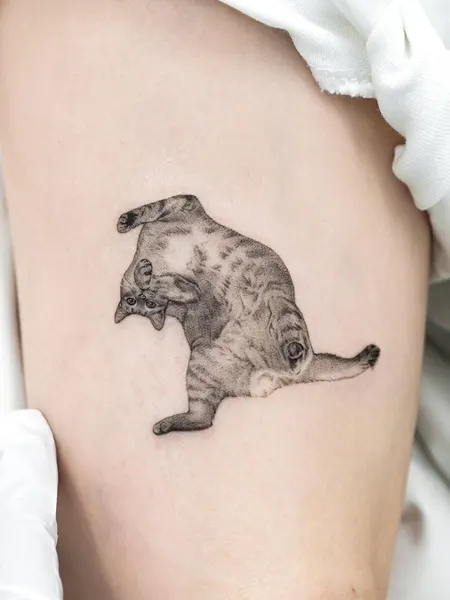 고양이