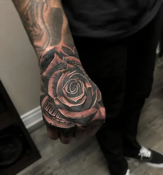 Flower, Rose