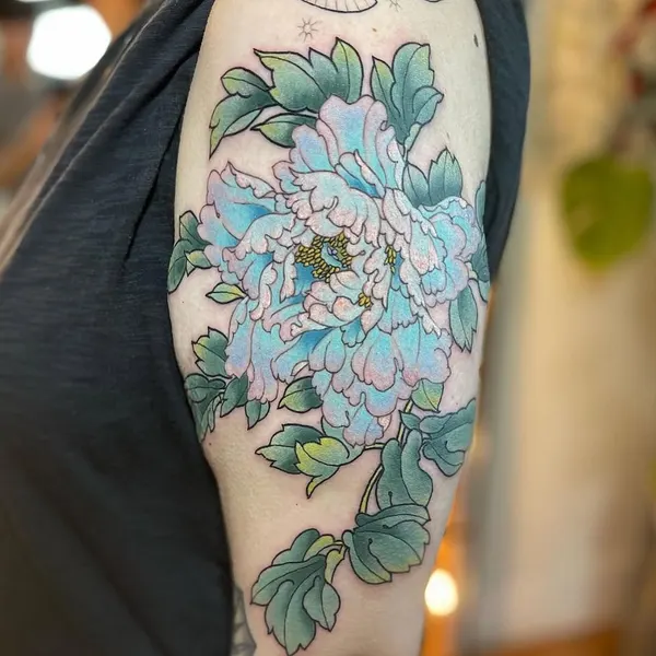 Flower, Rose, Nature