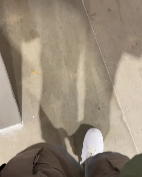 mistertroshin