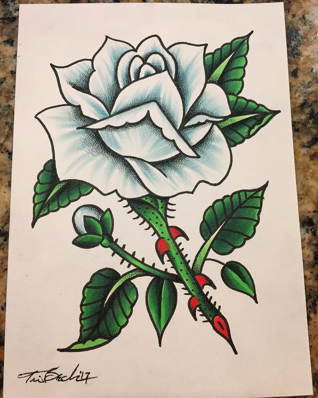 Flower, Rose