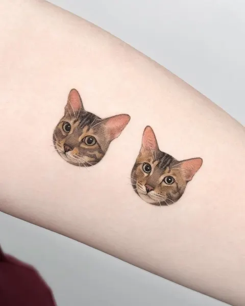 고양이