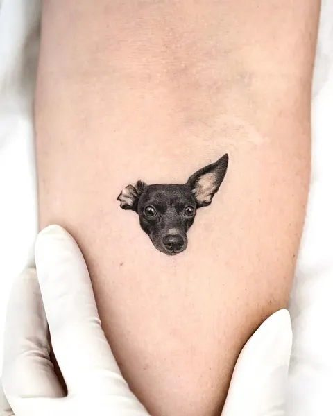 Animal, 강아지