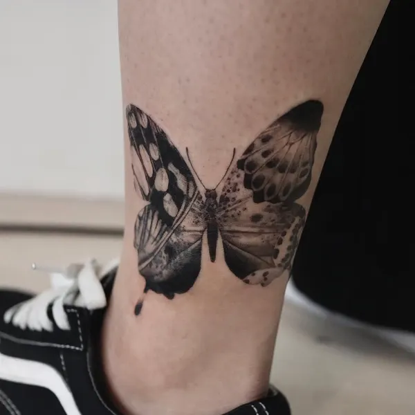Animal, Nature, 나방, 매미