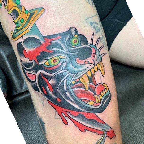 Tiger, Animal