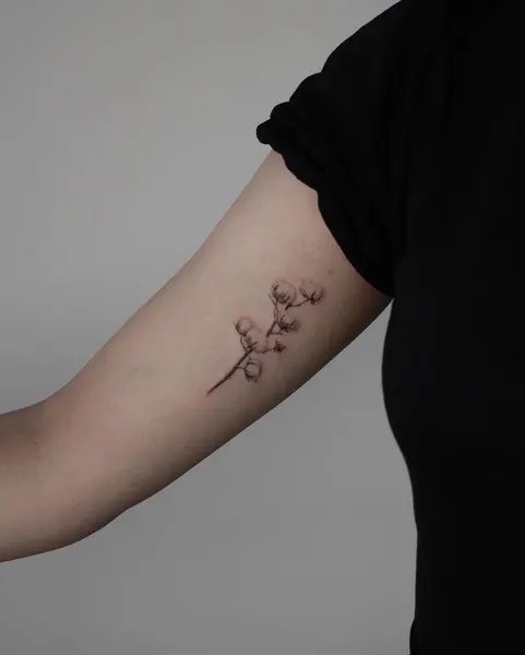 Flower, Rose, 덩굴, 야생화, 난초, 뿌리, 수묵화