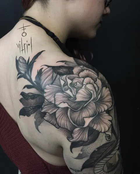 Flower, Rose, Nature