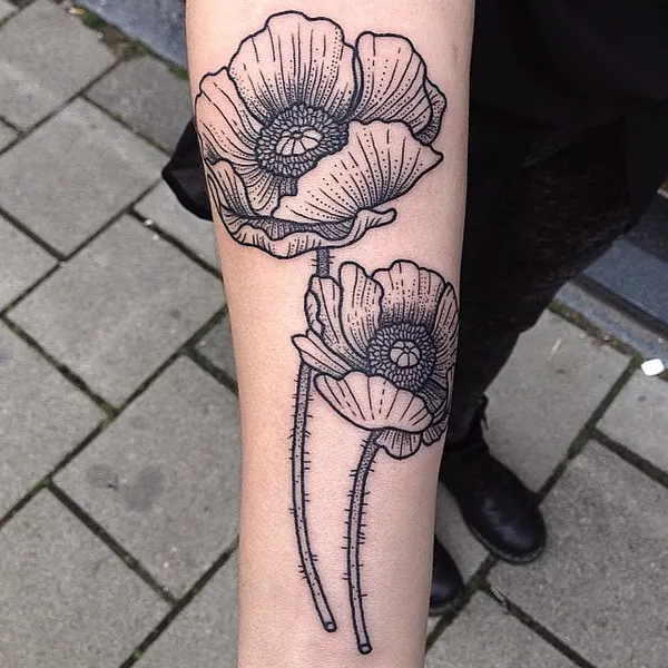Flower, Rose, 튤립