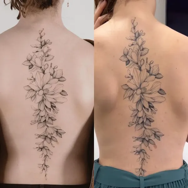 Flower, Rose, 변화