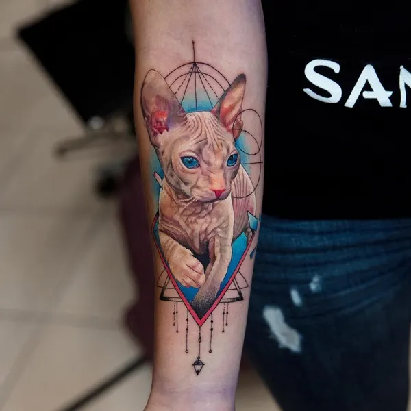 Animal