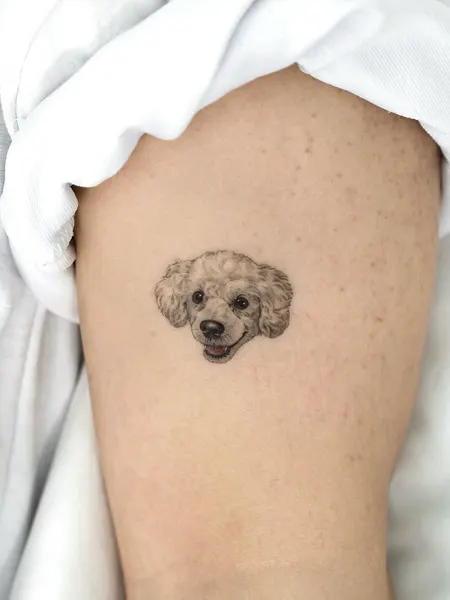 Animal