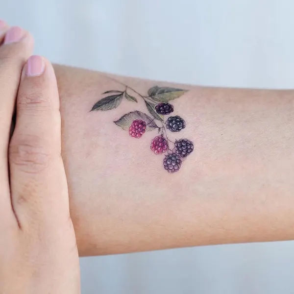 Flower, Rose, 무당벌레