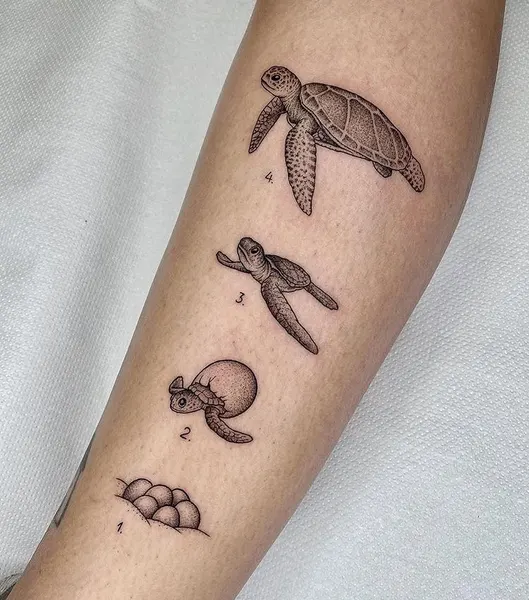equilattera