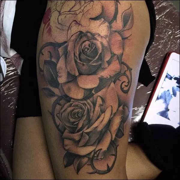 Flower, Rose