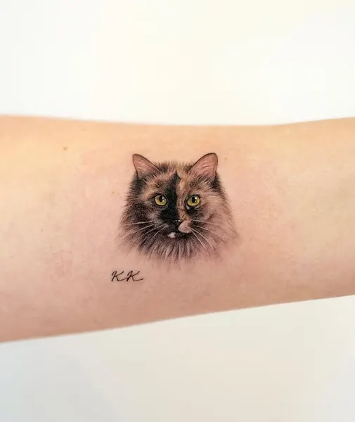 Animal, 고양이, 여우 가면