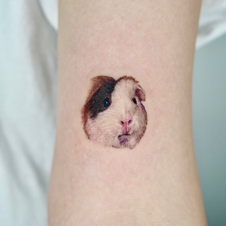 쥐, 돼지, 판다, 고슴도치, 나무늘보, 단청, 텐구, 함사, 멧돼지, 코알라, Mini
