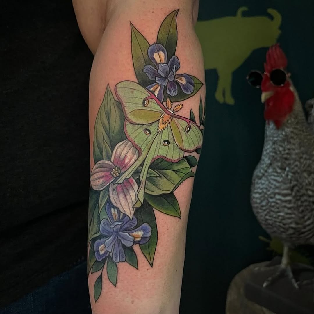 Flower, Animal, Nature