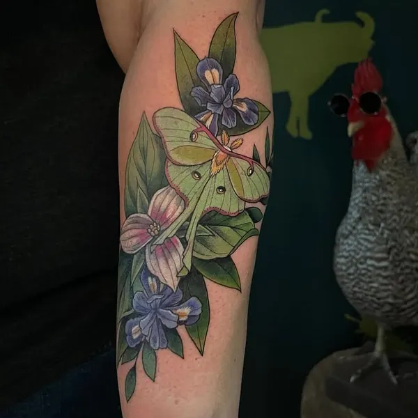 Flower, Animal, Nature