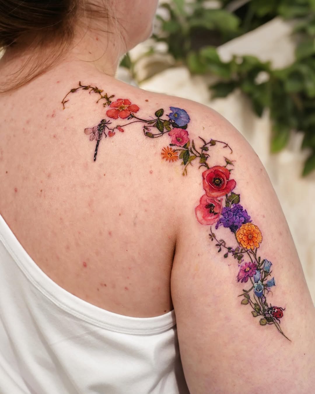 Animal, Flower, Nature