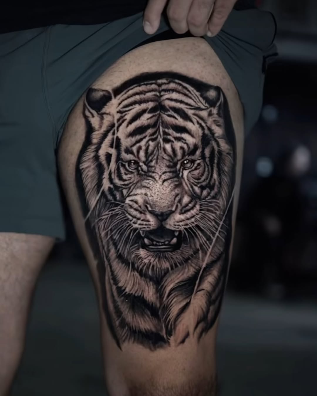 Tiger, 재규어, 일본 호랑이, 중국 호랑이, 한국 호랑이