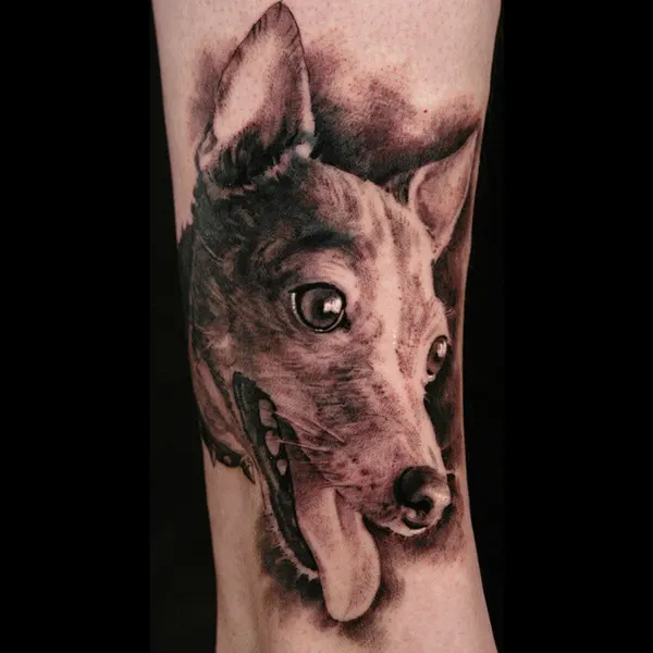 Animal