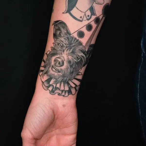 Animal