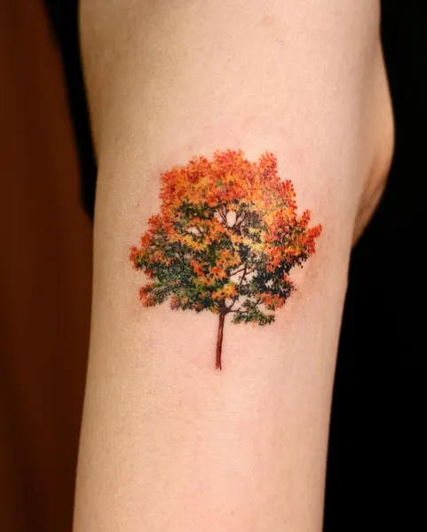 Nature, 나무, 소나무, 숲