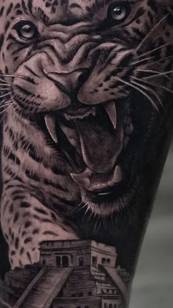 Animal, 표범, 재규어