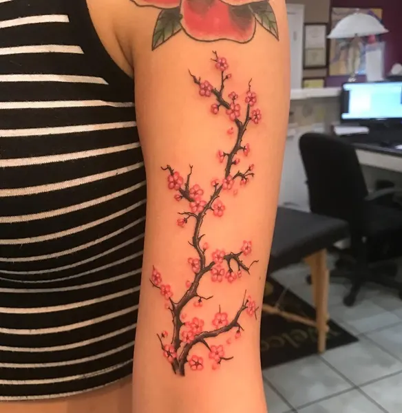 Nature, 매화