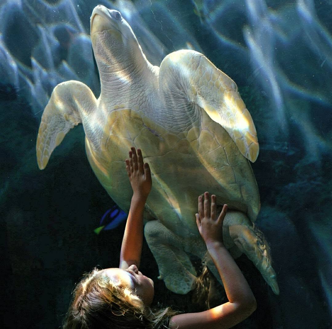 Sergio Sanchez