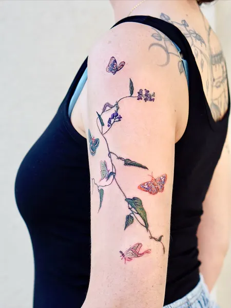 Flower, Animal, Rose, Nature