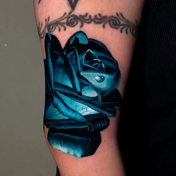 Flower, Rose