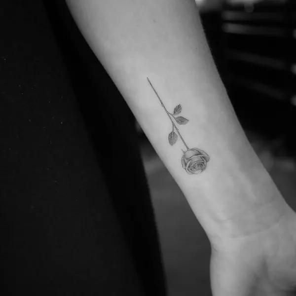 Flower, Rose